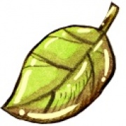 Лесоресурс